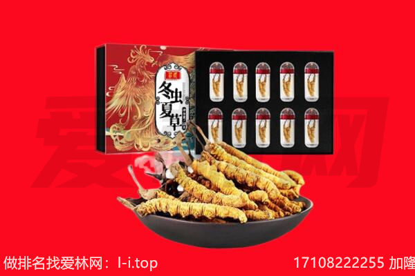 济阳区回收虫草.jpg